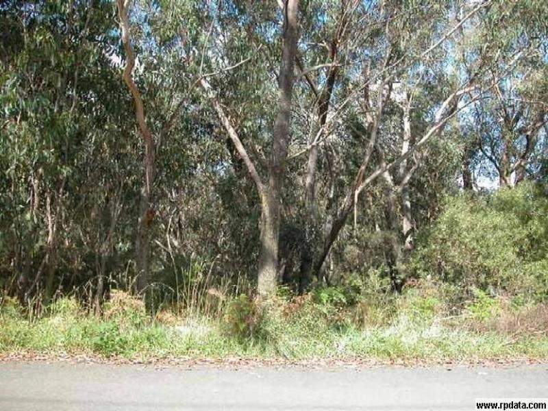 53 Wilson Street, Katoomba NSW 2780