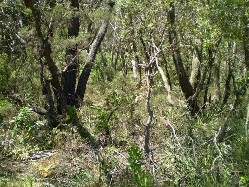 53 Wilson Street, Katoomba NSW 2780