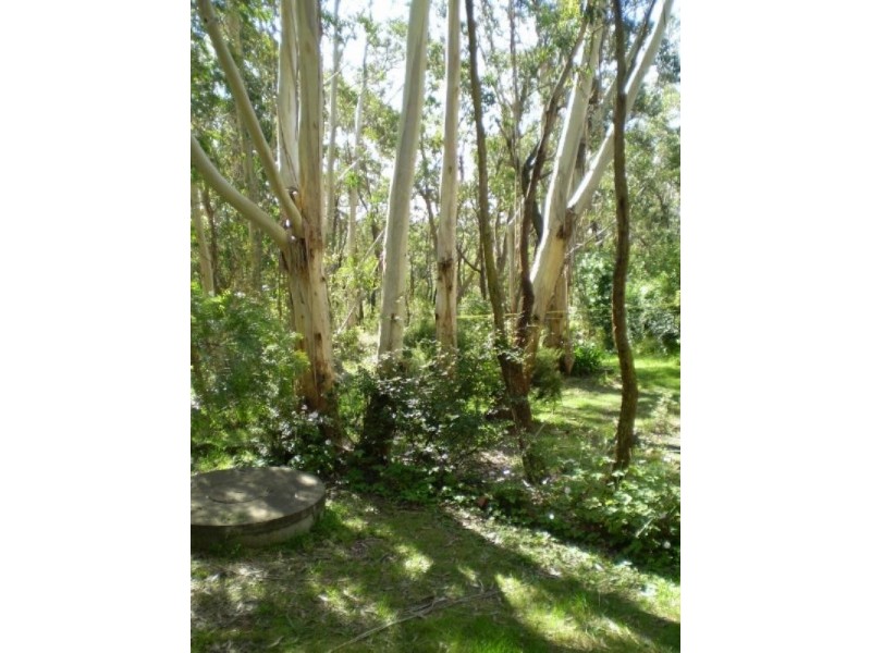 28 Blue Gum Avenue, Medlow Bath NSW 2780