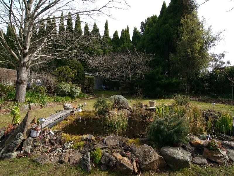 Wentworth Falls NSW 2782