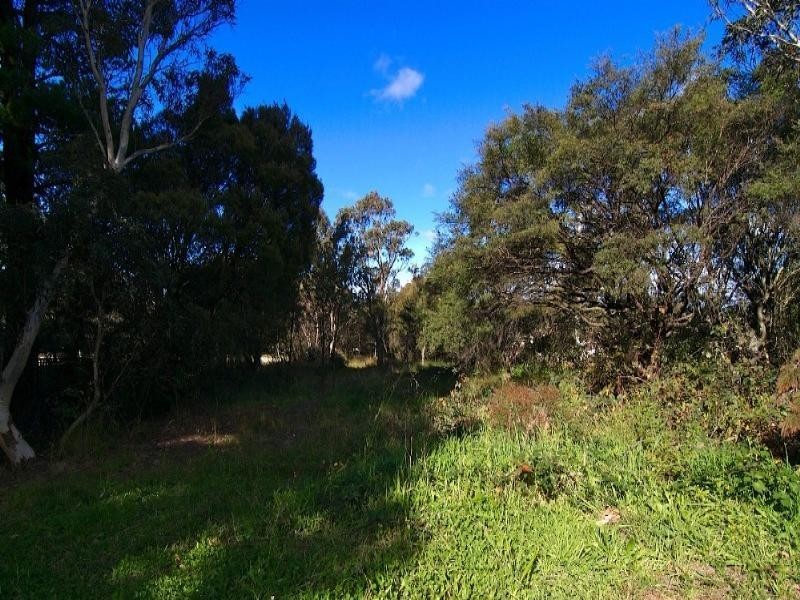 Wentworth Falls NSW 2782