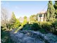 Wentworth Falls NSW 2782