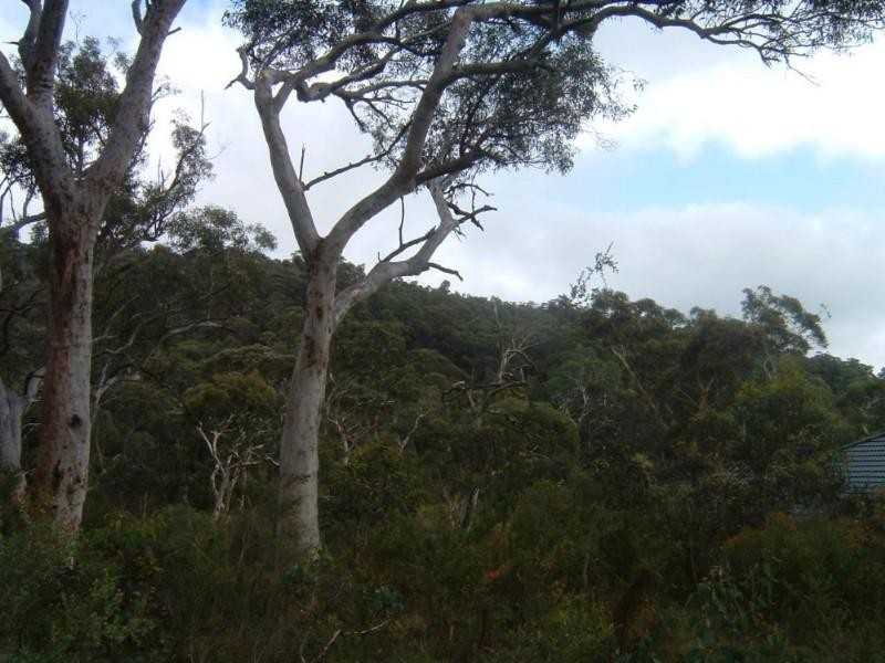 Lot 84  66 Fifth Avenue, Katoomba NSW 2780