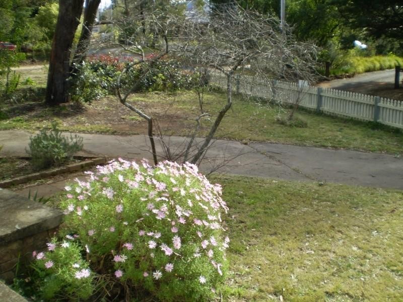 17 Lawson View Parade, Wentworth Falls NSW 2782