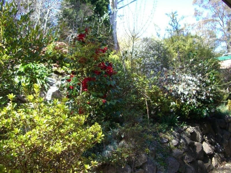 15 Gladstan Avenue, Katoomba NSW 2780