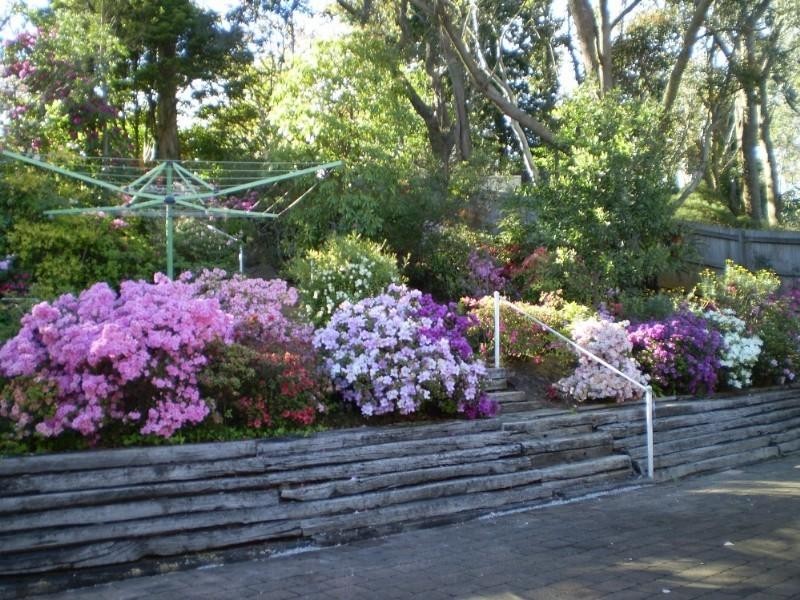 25 Victoria Street, Katoomba NSW 2780