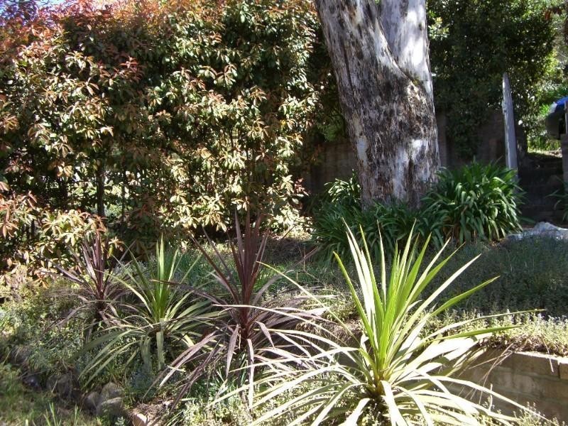 15 Wentworth Street, Leura NSW 2780