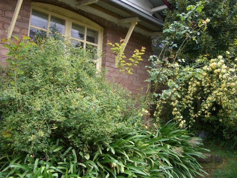 Katoomba NSW 2780