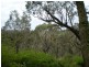 5 Mount Hay Road, Leura NSW 2780
