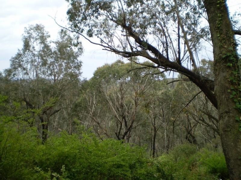 5 Mount Hay Road, Leura NSW 2780