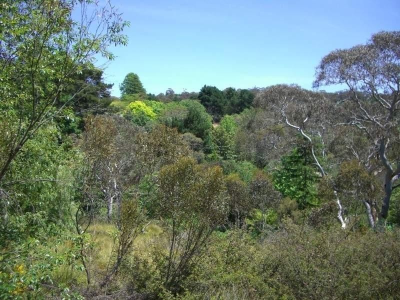 92 Rawson Parade, Leura NSW 2780