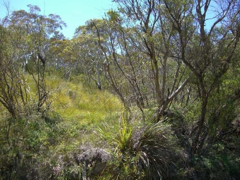 92 Rawson Parade, Leura NSW 2780