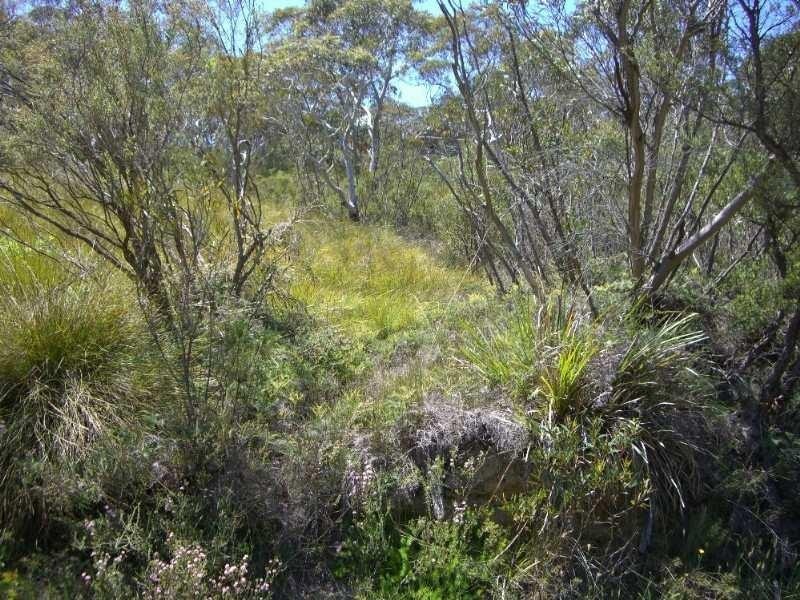 92 Rawson Parade, Leura NSW 2780