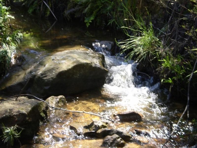 40 Neale Street, Katoomba NSW 2780