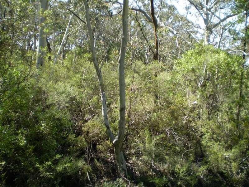 40 Neale Street, Katoomba NSW 2780