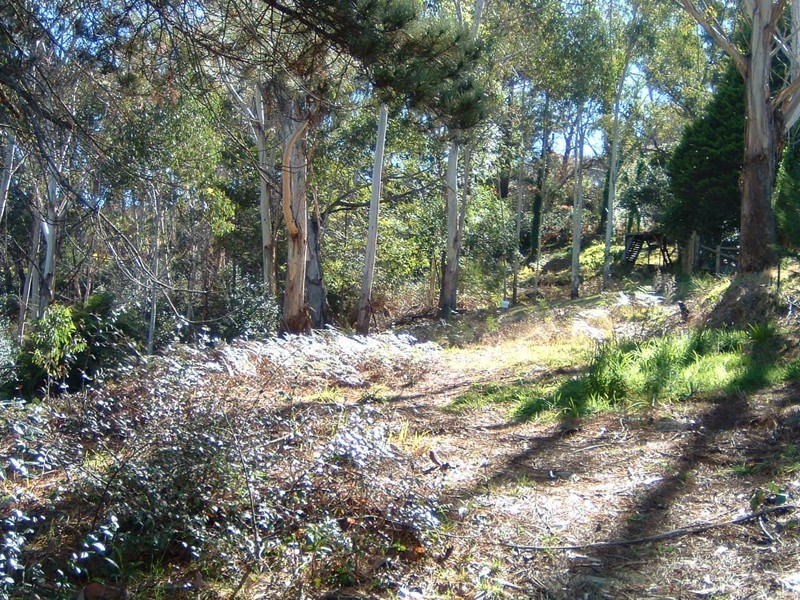 3 Kanimbla Street, Leura NSW 2780