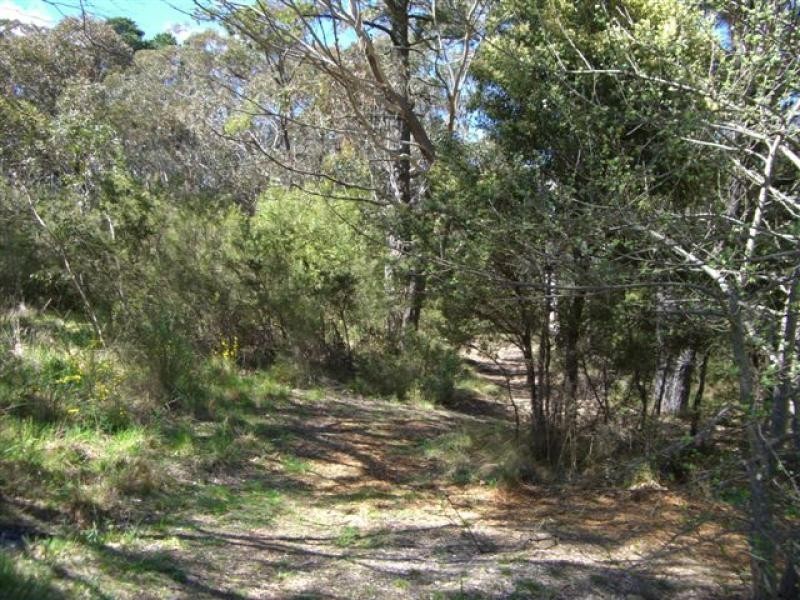 12 Cassilis Street, Mount Victoria NSW 2786