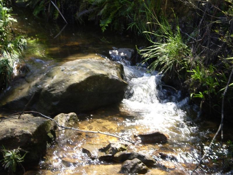 38 Neale Street, Katoomba NSW 2780