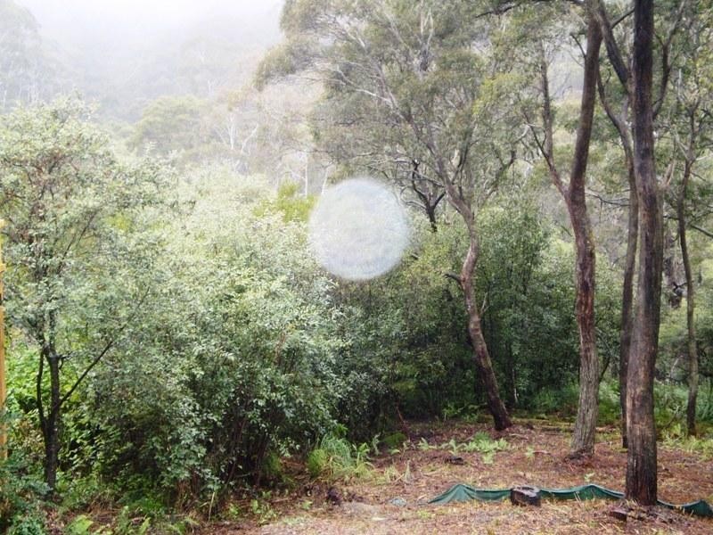 35 Rodriguez Avenue, Blackheath NSW 2785