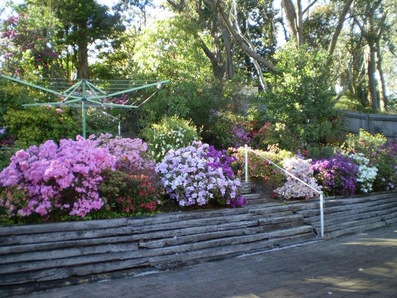 25 Victoria Street, Katoomba NSW 2780