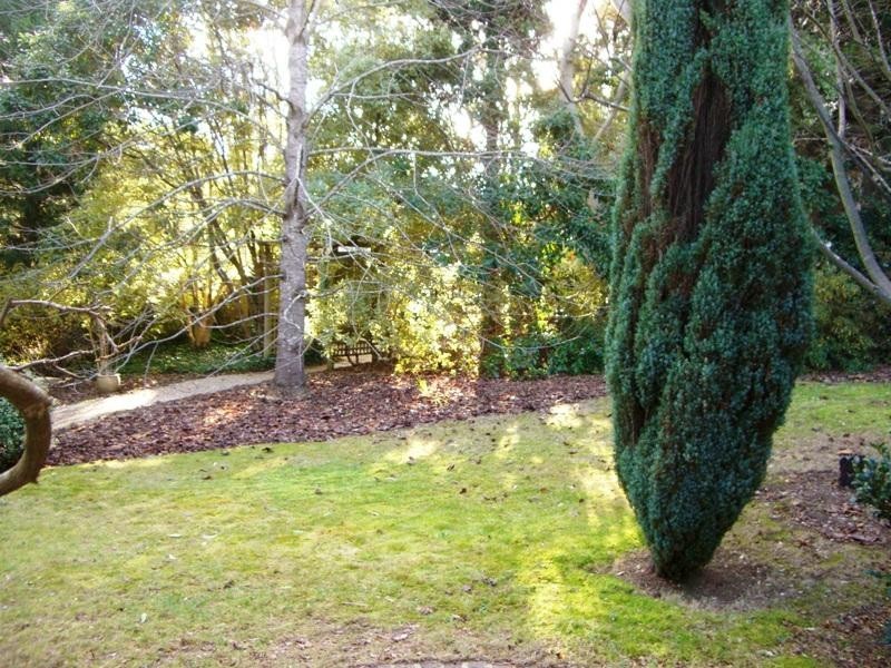 Wentworth Falls NSW 2782