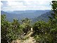 Lot 40 The Links Road, Leura NSW 2780