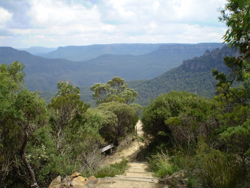 Lot 40 The Links Road, Leura NSW 2780