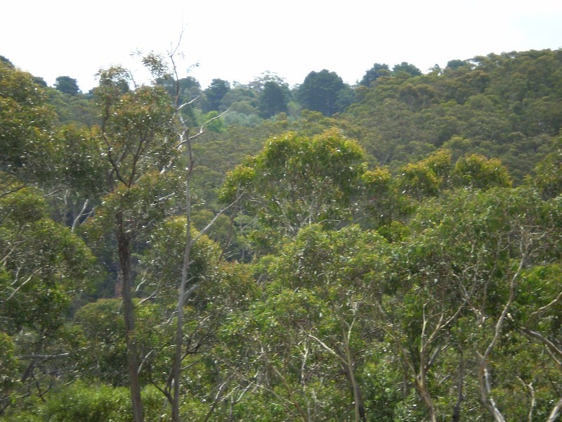 Lot 40 The Links Road, Leura NSW 2780