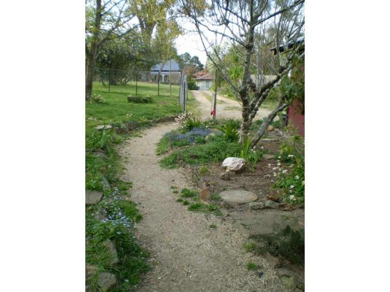 49 Clissold Street, Katoomba NSW 2780