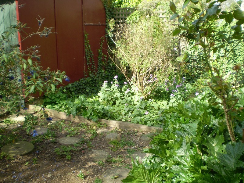 49 Clissold Street, Katoomba NSW 2780