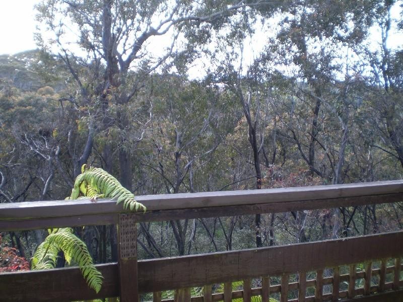 25 Clarence Street, Leura NSW 2780