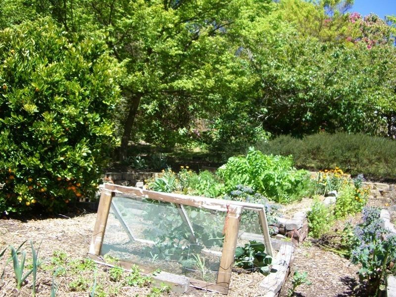 17 Letitia Street, Katoomba NSW 2780