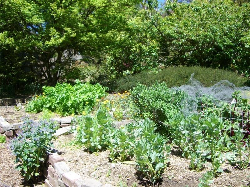 17 Letitia Street, Katoomba NSW 2780