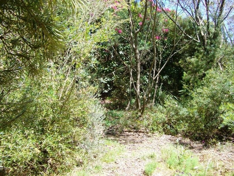 17 Letitia Street, Katoomba NSW 2780