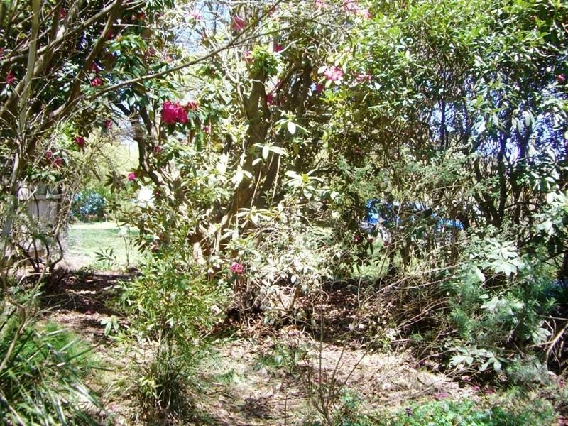 17 Letitia Street, Katoomba NSW 2780