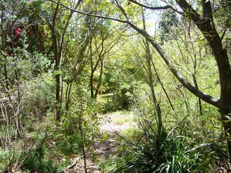 17 Letitia Street, Katoomba NSW 2780