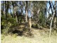 333 Cliff Drive, Katoomba NSW 2780