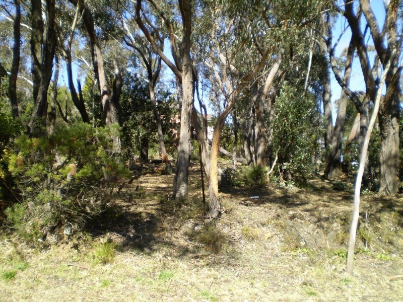 333 Cliff Drive, Katoomba NSW 2780