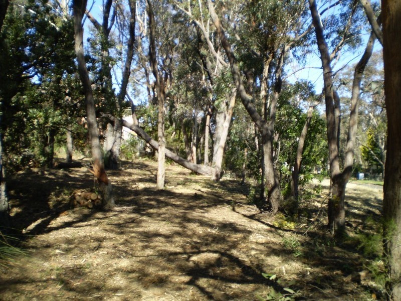 333 Cliff Drive, Katoomba NSW 2780