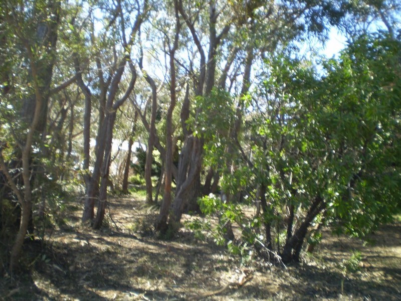 333 Cliff Drive, Katoomba NSW 2780