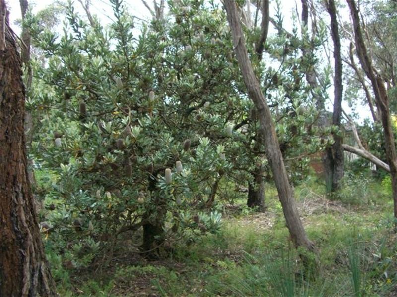 333 Cliff Drive, Katoomba NSW 2780