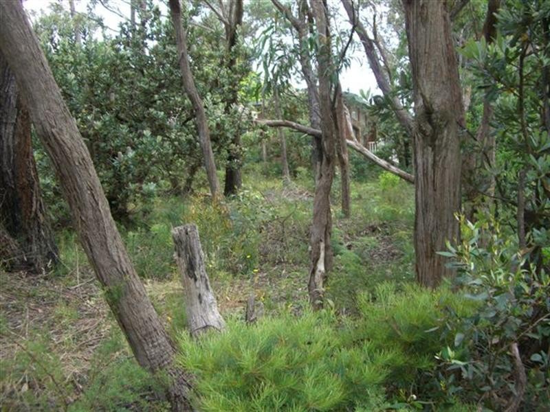 333 Cliff Drive, Katoomba NSW 2780