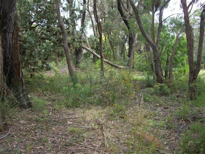 333 Cliff Drive, Katoomba NSW 2780