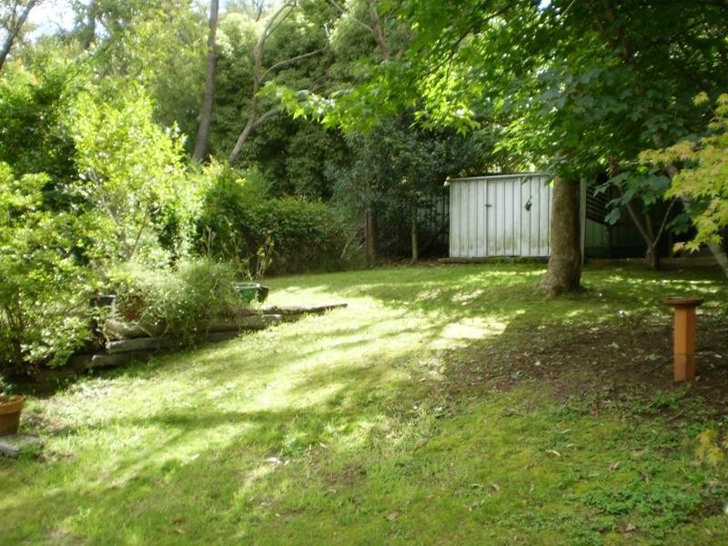 38 Banksia Road, Wentworth Falls NSW 2782