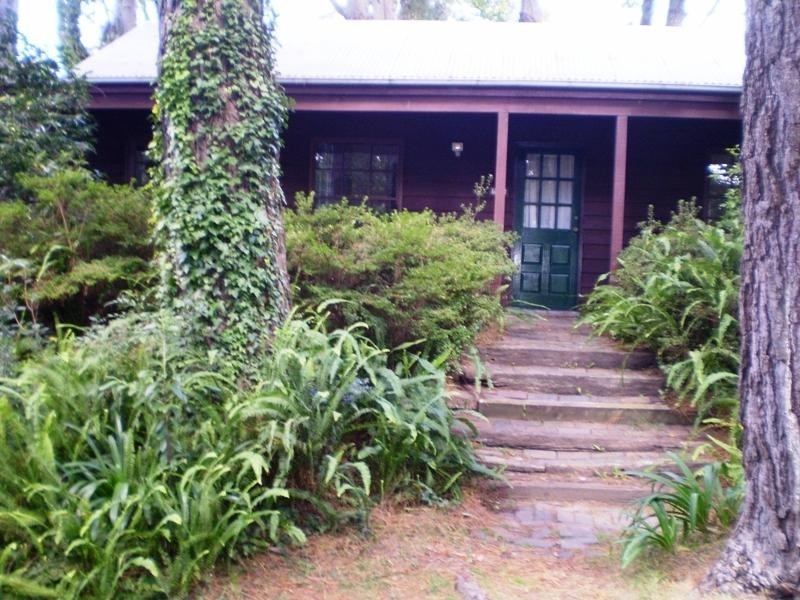 242 Great Western Highway, Wentworth Falls NSW 2782