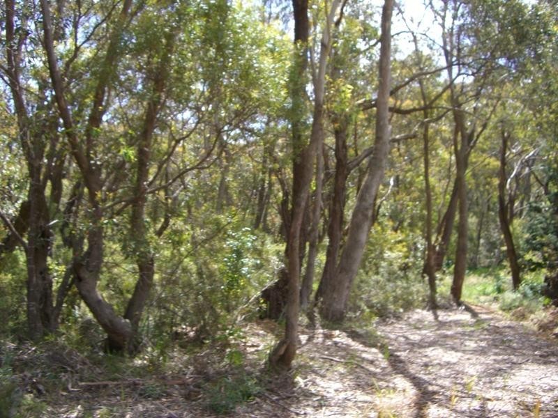 51 Sublime Point Road, Leura NSW 2780