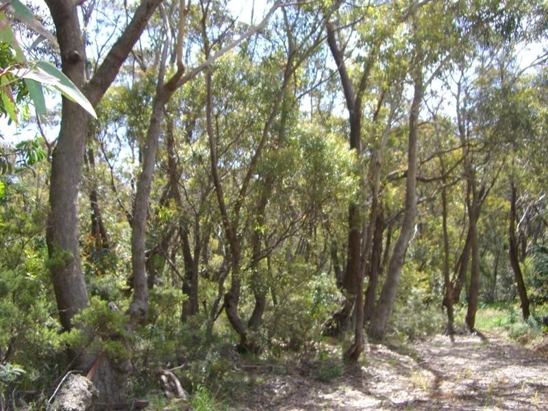 51 Sublime Point Road, Leura NSW 2780