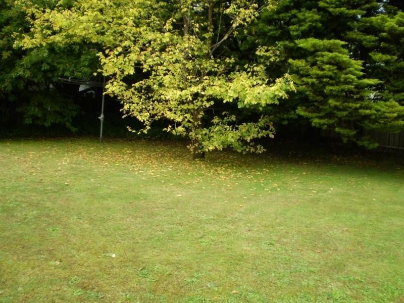 10 Narrow Neck Road, Katoomba NSW 2780