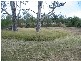 Withcott QLD 4352