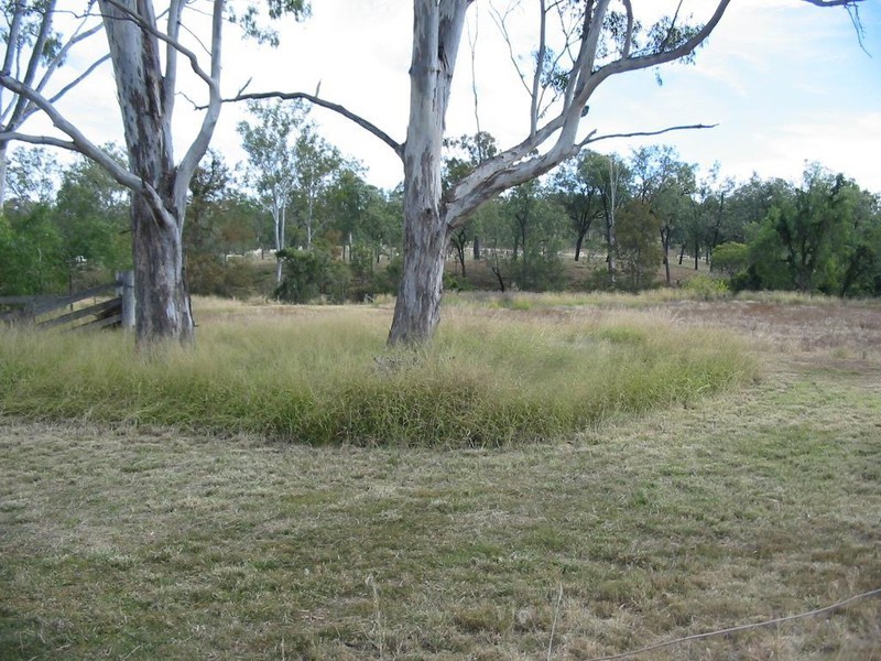 Withcott QLD 4352
